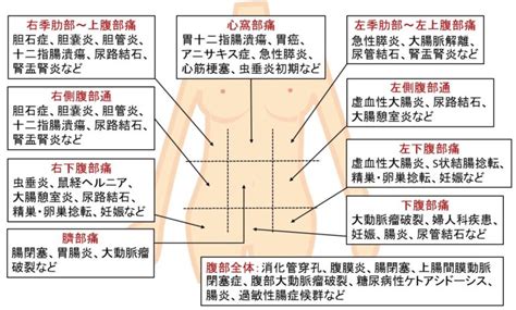 腹痛 にしむら内科クリニック｜浦和の内科、消化器内科、内視鏡クリニックです。