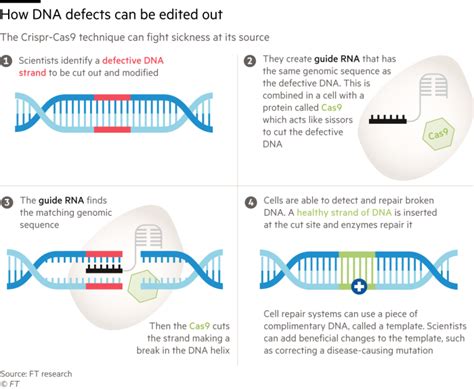 Crispr Gene Editing Ready For Testing In Humans