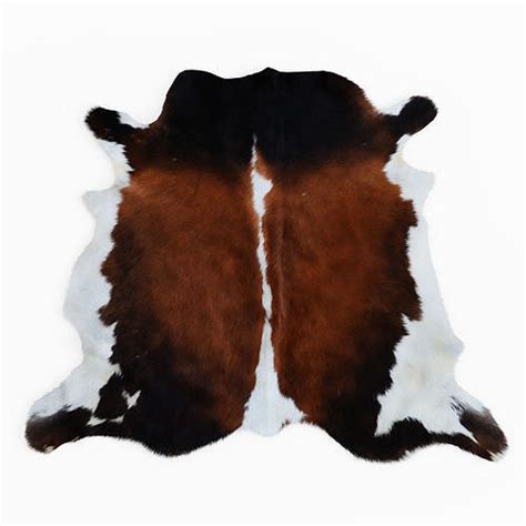 Cowhide Brown And White Rug D Model Cgtrader