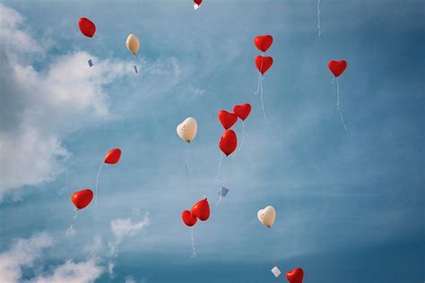 Globos Boda Foto Gratis En Pixabay Pixabay