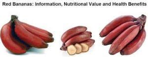 Top Health Benefits Of Red Banana Amazing Health Benefits Of Red Banana