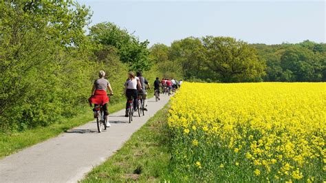 Fahrradtouren In Mecklenburg Vorpommern NDR De Ratgeber Reise