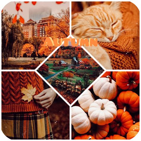 Autumn collage 🎃 : r/halloween