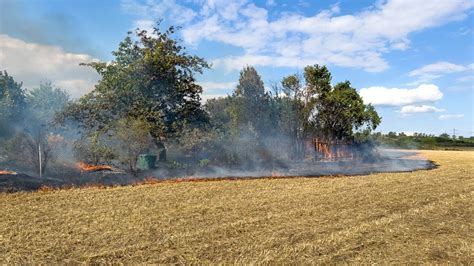 Feldbrand in Weimar greift auf Gärten über Feuerwehr rettet Personen