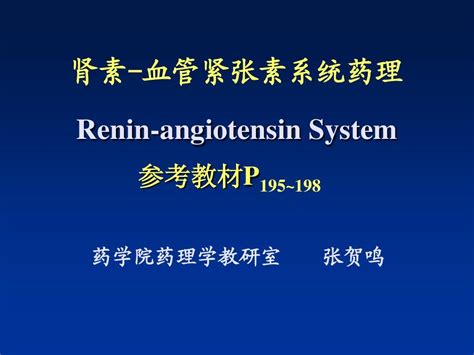 药理学补充章节——肾素血管紧张素系统药理定稿word文档在线阅读与下载无忧文档