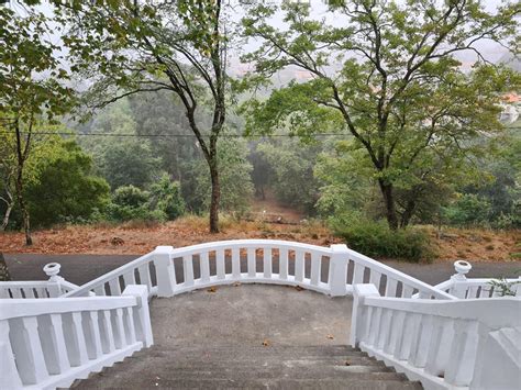 Requalificação da envolvente do Parque de São Caetano Junta de