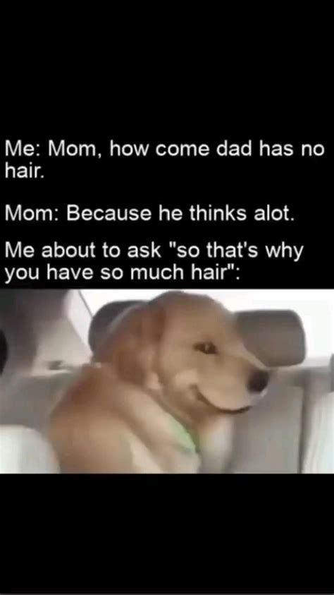 dog meme | Dog quotes, Dog memes, Really funny joke