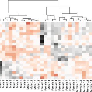 Heatmap of differentially expressed genes. A heatmap presenting each ...