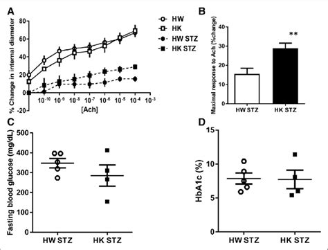 Nox1 Deletion Attenuates Endothelial Dysfunction In Microvessels Of