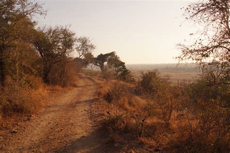 Marloth Park Uchawi Wa Afrika