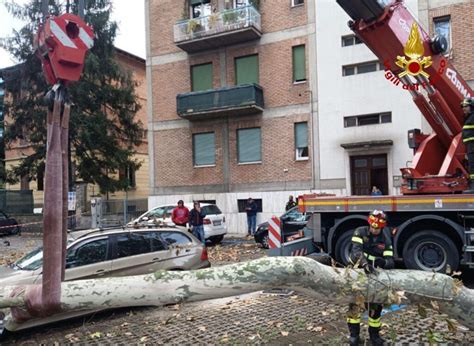 Bufera Di Vento Interventi Dei Vigili Del Fuoco Albero Crollato Su