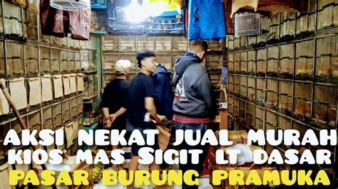 Harga Nekat Jual Murah Kios Mas Sigit Lt Dasar Pasar Burung Pramuka