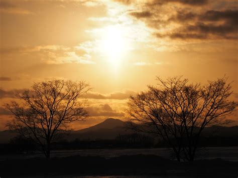 冬の夕日 By Emudai （id：10200326） 写真共有サイトphotohito