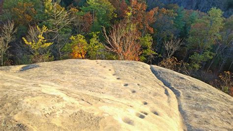 696 best Ky Usa images on Pholder | Kyousaya, Sky Porn and Birding