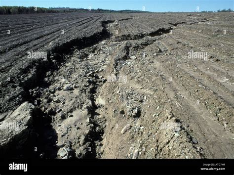 Soil Erosion Pictures