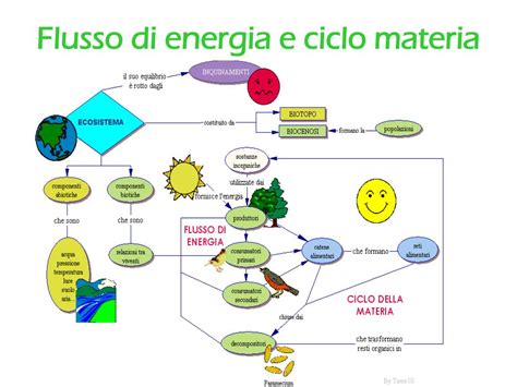 PPT Flusso Di Energia E Ciclo Materia PowerPoint Presentation Free