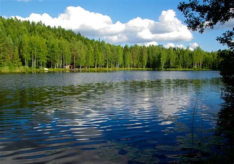 Fotos gratis árbol naturaleza bosque desierto lago río estanque