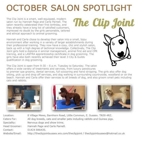 Salon Spotlight October 2013 The Clip Joint October 2013 Modern Salon