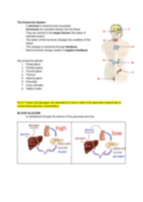 Solution Hormones Homeostasis And Reproduction Ppt Lecture Studypool