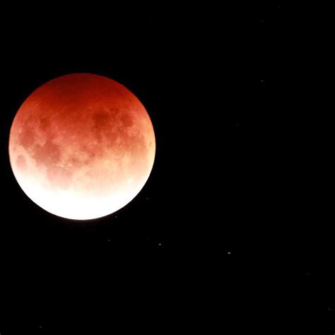 Blood Moons This Year