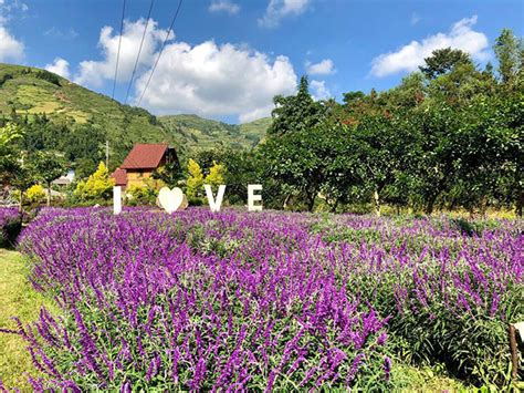 Bac Ha Flower Valley - Vietnam Travel Online