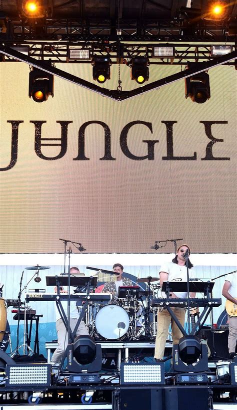 Jungle Concert Tickets and Tour Dates | SeatGeek