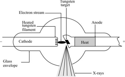 X Ray Machine Labeled Diagram