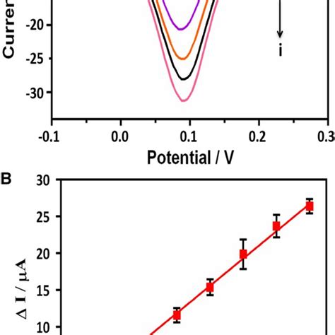 A Dpv Curves After Hybridization With 0 10 × 10⁻¹⁴ M Download