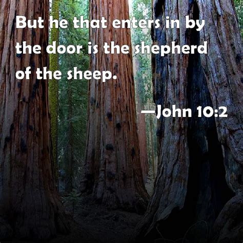 John 102 But He That Enters In By The Door Is The Shepherd Of The Sheep