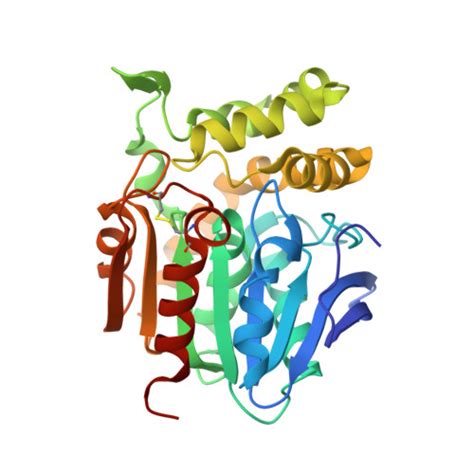 RCSB PDB 8F6V Crystal Structure Of Nanobody VHH108 Bound To Its