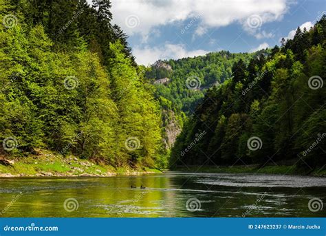 Dunajec River Gorge In Pieniny National Park At Spring Poland Stock