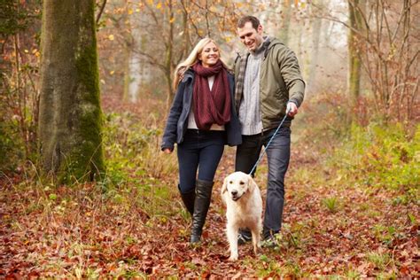 Comment Communiquer Avec Son Chien Durant La Promenade