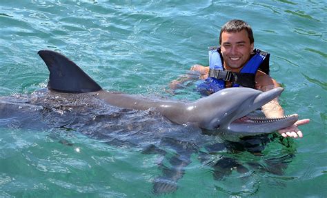 Low Prices On Dolphin Swim Adventure At Chankanaab National Marine Park