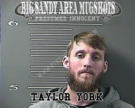 KORY VEAL Big Sandy Area Mugshots News