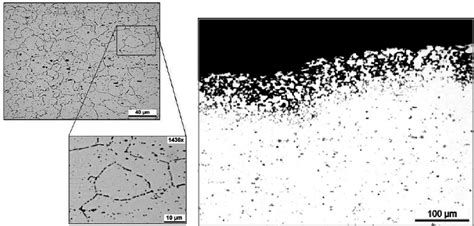 Micrographs Of Aa 5083 After Sensitization Annealing For 100 H At