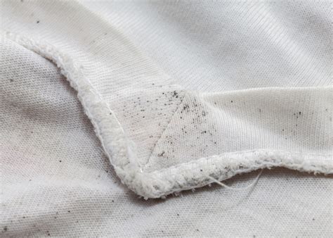 O Que Tira Bolor De Roupa - Tirar bolor da roupa nunca foi tão fácil com estas 7 dicas