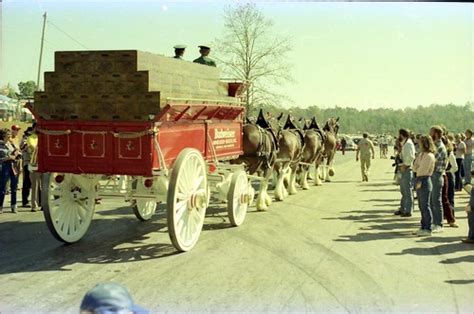 Budweiser Clydesdale 8 Horse Hitch at Road Atlanta | Flickr