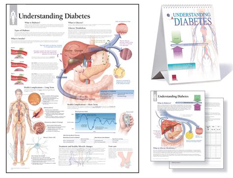 Understanding Diabetes Diabeteswalls