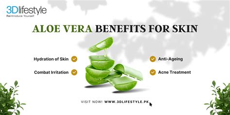 Aloe Vera for Skin | Aloe Vera Benefits for Skin - 3D Lifestyle Center 3D Lifestyle PK