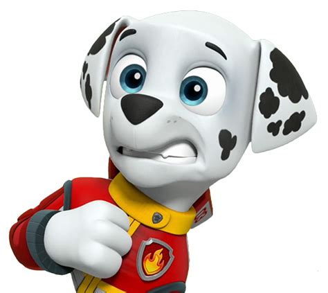 Marshallgallery Paw Patrol Wiki Fandom Marshall Paw Patrol Paw