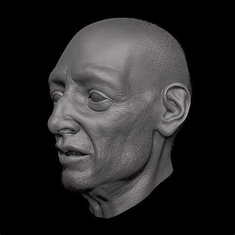 3D Old Man Head Sculpt Model TurboSquid 1947752