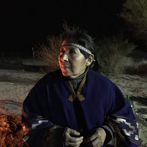 Argentinie People / Argentina, indigenous woman Photograph by Dan Yeger