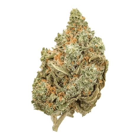 High THC Seeds | 180+ Strains With Over 20% | SeedSupreme