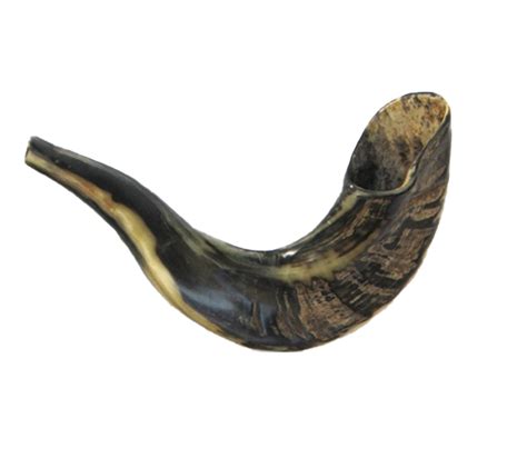 Shofar PNG Images Transparent Free Download