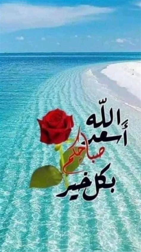 pin  sbah alkhyr sor
