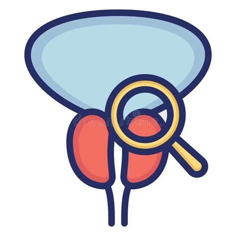 Prostate Isolated Vector Icon That Can Be Easily Modified Or Edit Stock