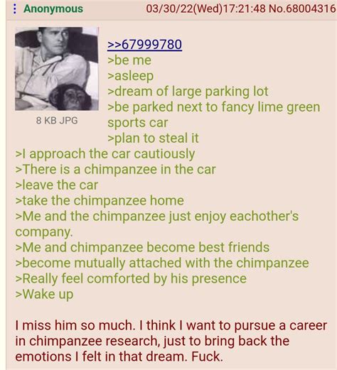 Anon Makes A Friend Rgreentext