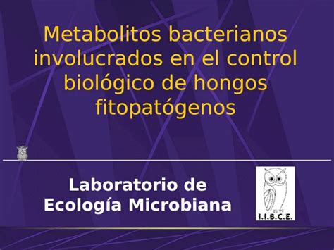 PPT Metabolitos bacterianos involucrados en el control biológico de