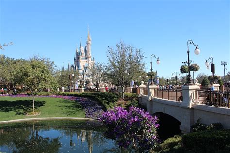 The Best Cheap Eats At Magic Kingdom Have Kids Will