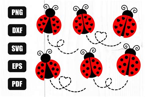 Ladybug Svg Bundle Lady Bug Svg Ladybug Designs By Litkedesigns